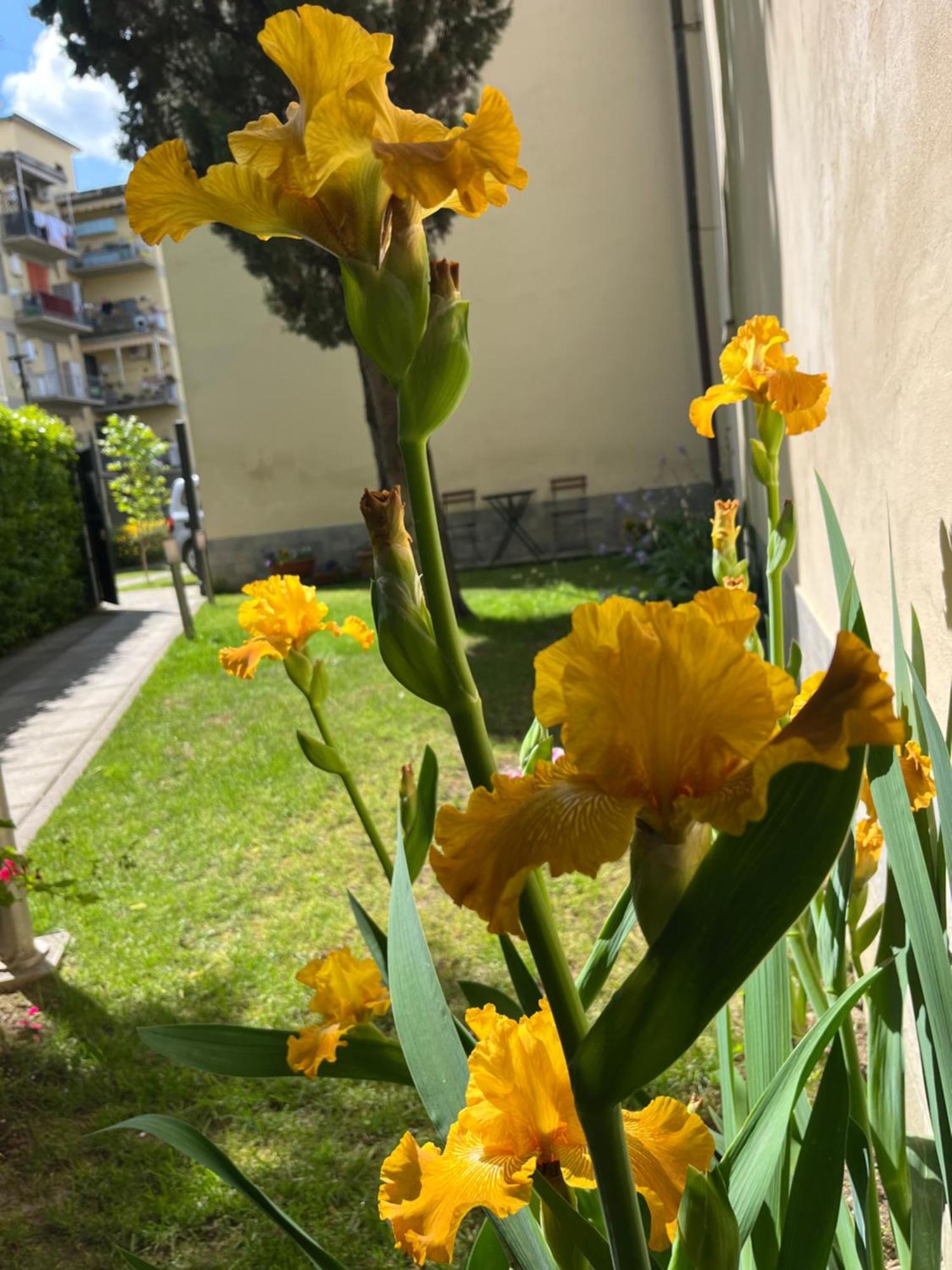 Dalu Florence Apartment Lucilla - Private Car Park 15 Minutes To The City Center Εξωτερικό φωτογραφία